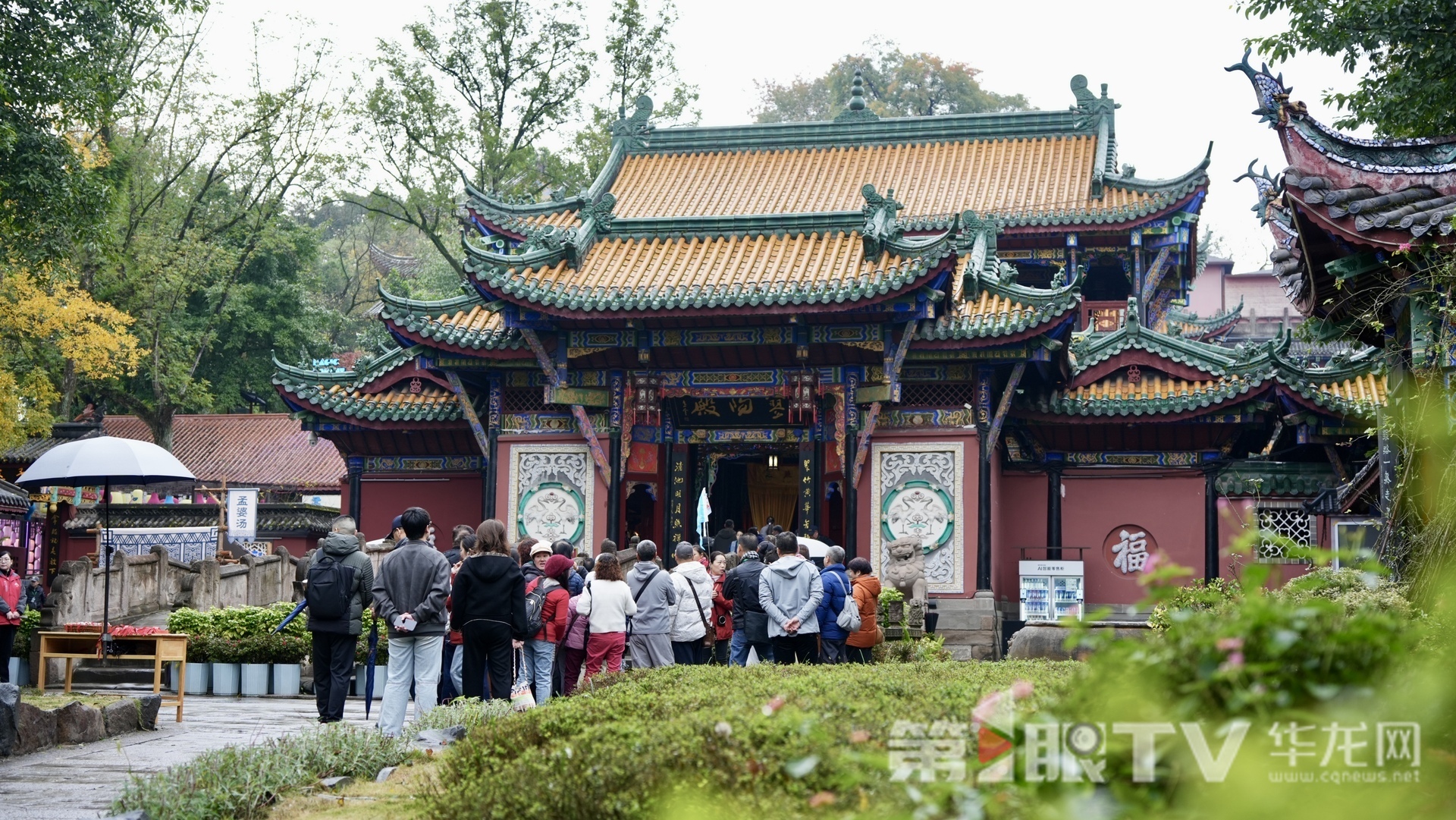 视频 | 三峡之旅惊艳境外客商 重庆文旅“组合拳”激活入境市场