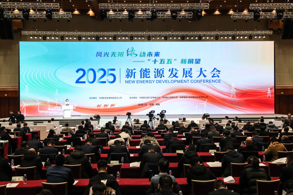 新能源发展大会｜风光无限 “绿”动未来：2025新能源发展大会隆重开幕