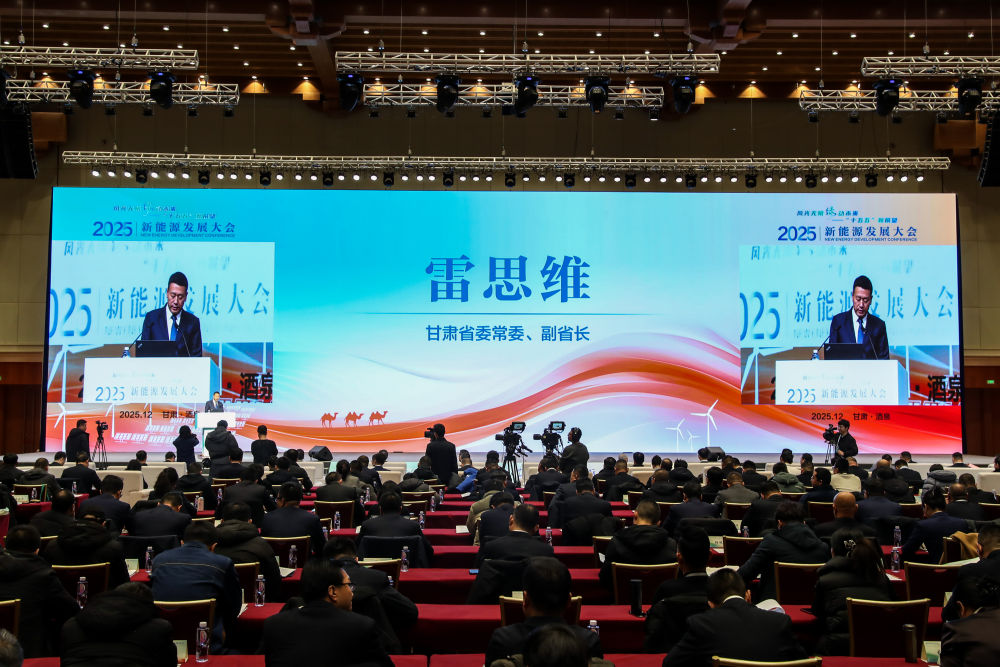 新能源发展大会｜风光无限 “绿”动未来：2025新能源发展大会隆重开幕