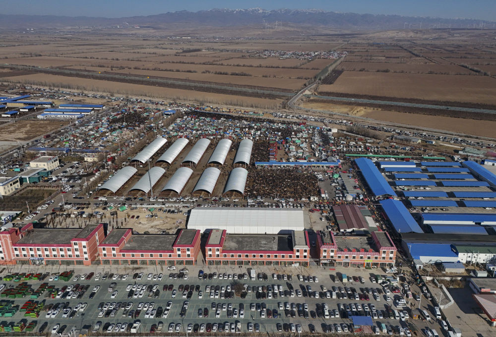 在新疆的巴扎 他们是连接牧场和市场的“纽带”