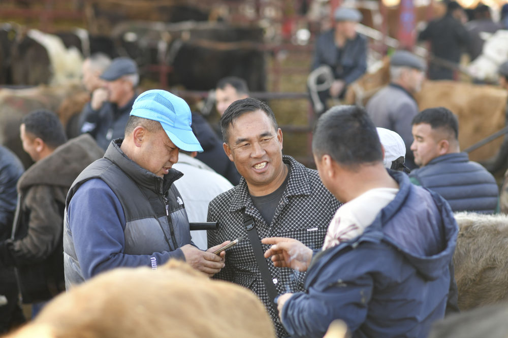 在新疆的巴扎 他们是连接牧场和市场的“纽带”