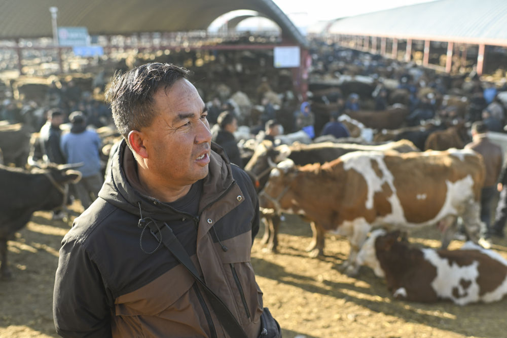 在新疆的巴扎 他们是连接牧场和市场的“纽带”