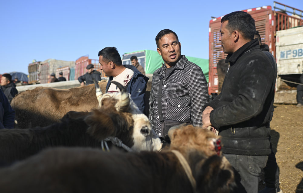 在新疆的巴扎 他们是连接牧场和市场的“纽带”