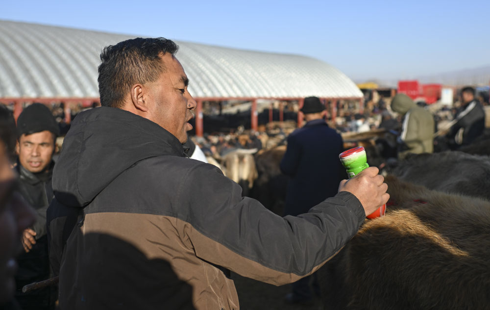 在新疆的巴扎 他们是连接牧场和市场的“纽带”
