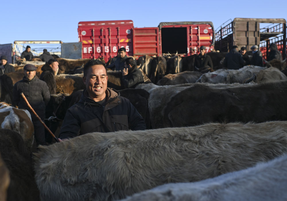 在新疆的巴扎 他们是连接牧场和市场的“纽带”