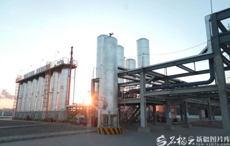 基础更稳 动能更强 活力更足——2025新疆经济高质量发展观察