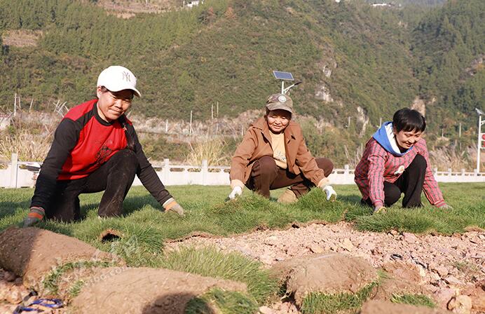 荒滩披绿装 “神农公园”入画来