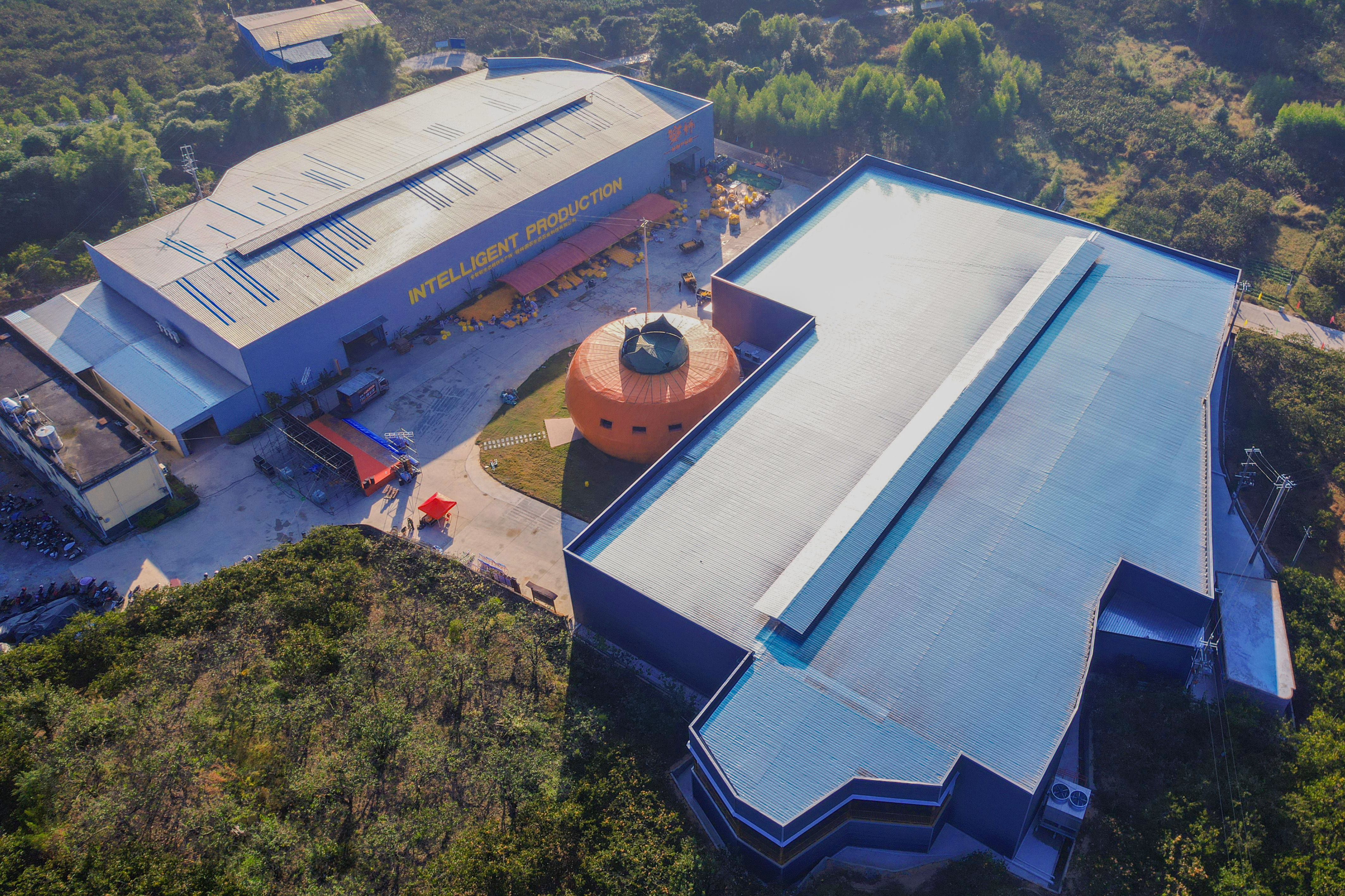 广西平乐： “金柿子”换来百姓好日子