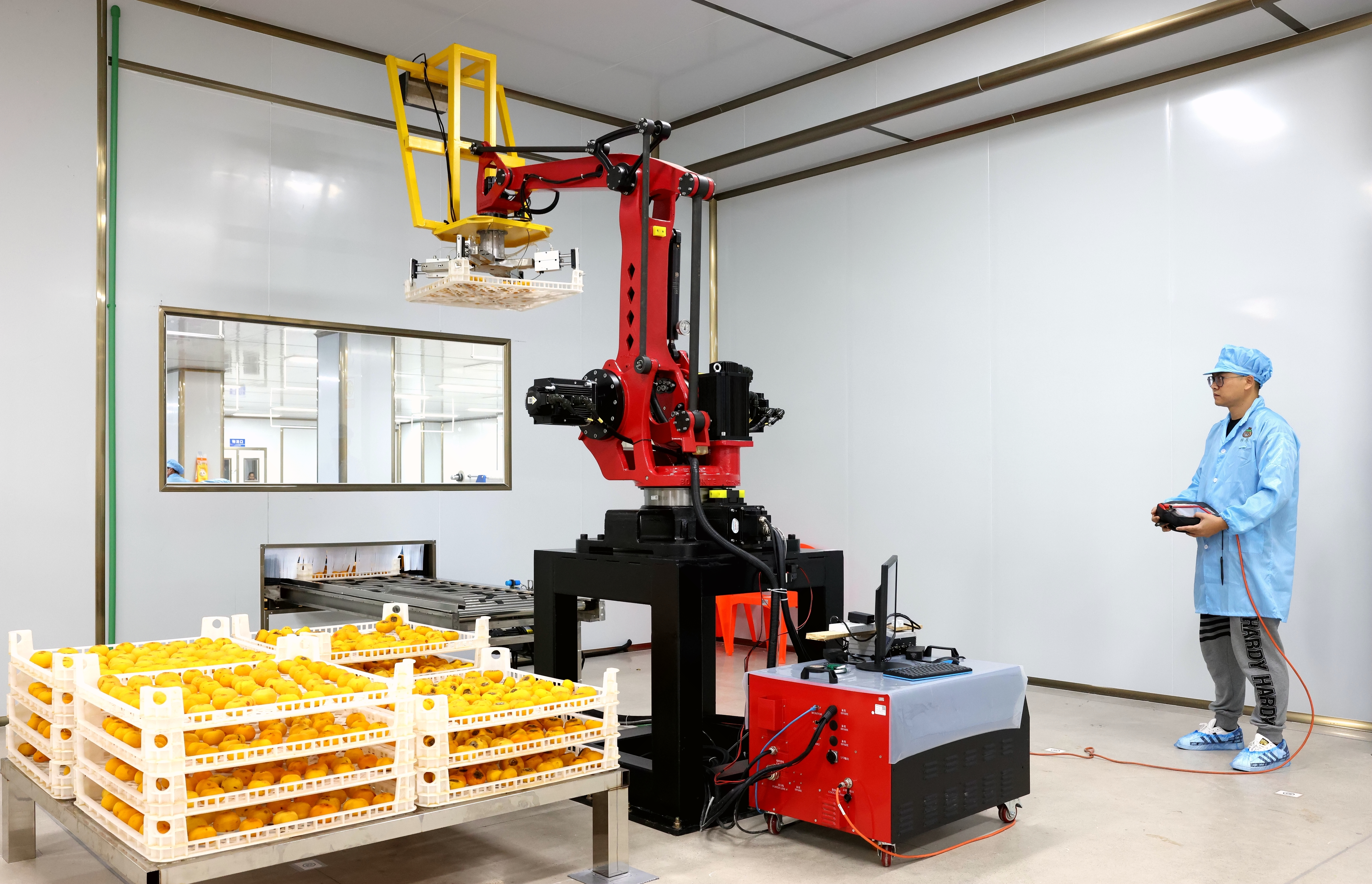 广西平乐： “金柿子”换来百姓好日子