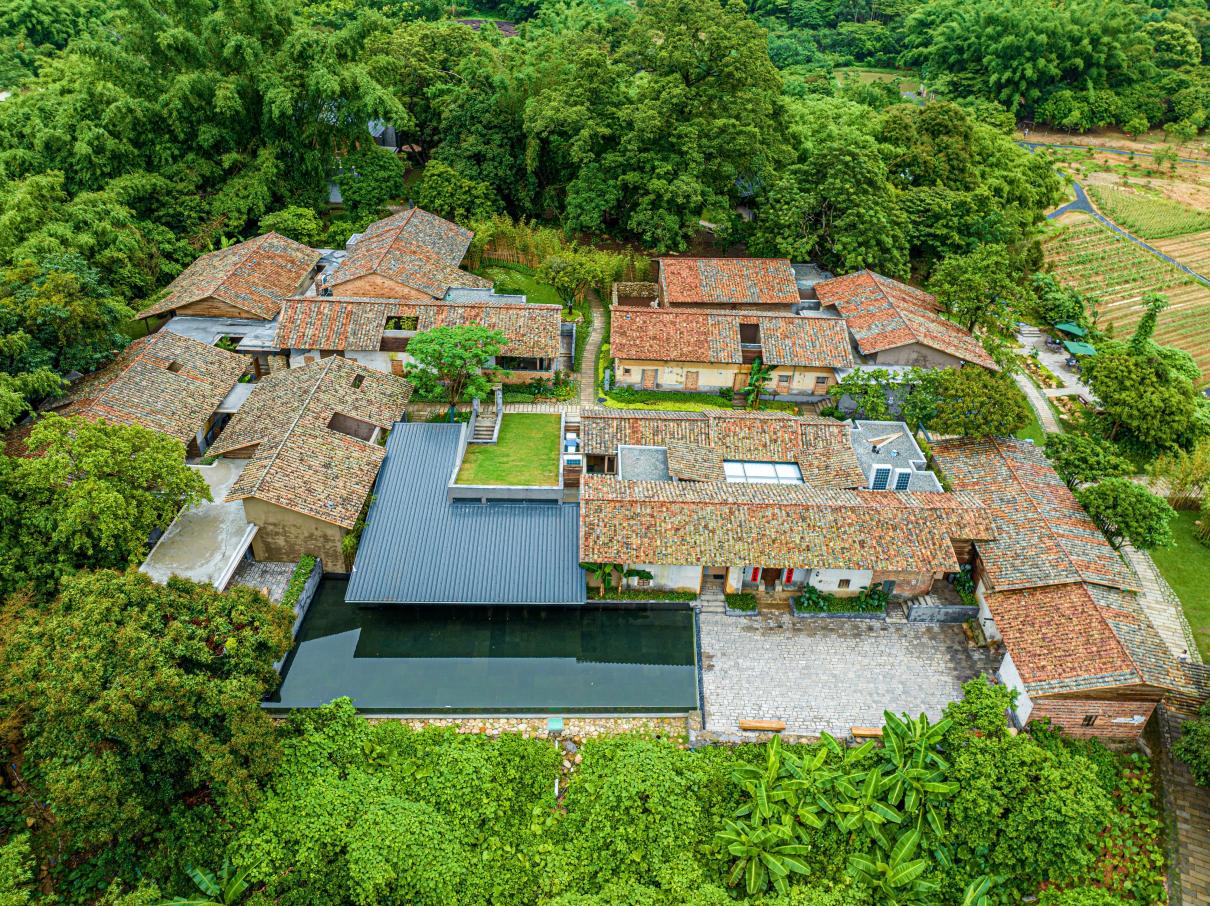 福田-博罗文旅协作，何以成就湾区乡村振兴新样本？