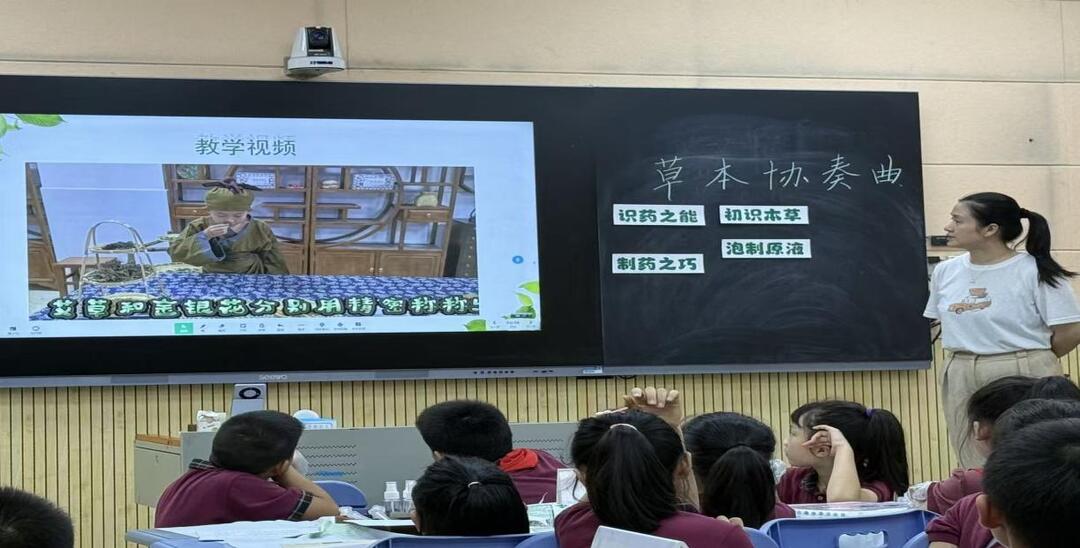 方寸地孕育大文章：白杨坡小学“中医药进校园”劳动教育的德育实践