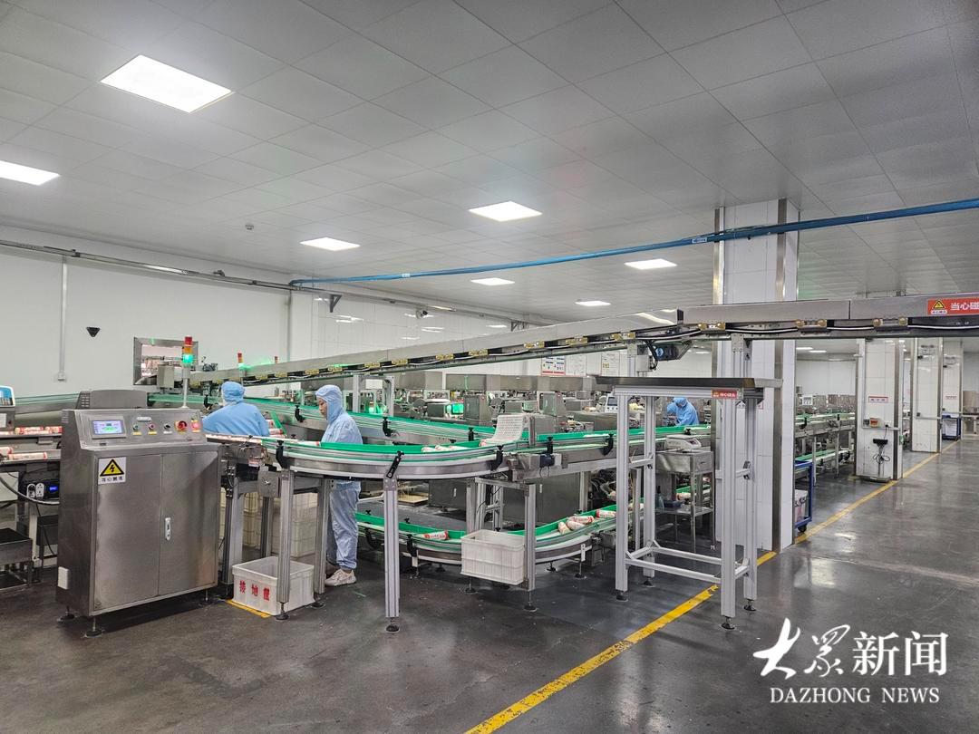 大安镇:党建铸魂强产业,联企带农绘共富