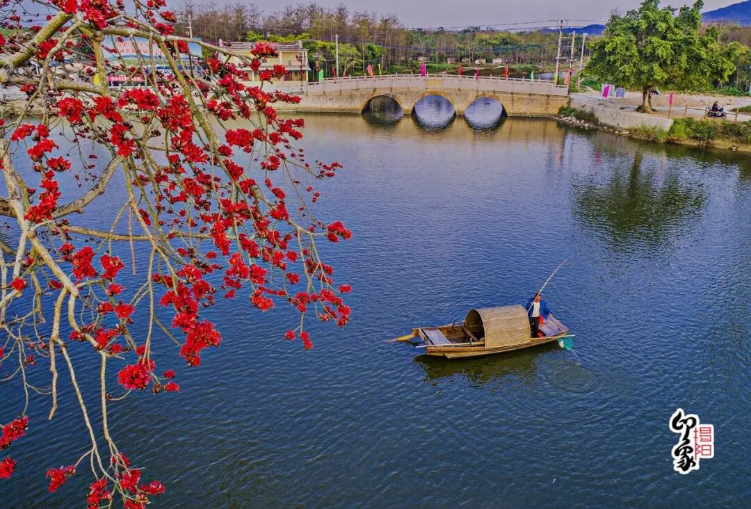 来揭阳就对了!玩什么吃什么看这里→ 图片