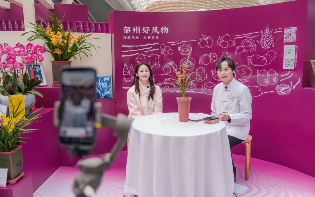 存在感太强!韶关把整个“兰花世界”搬进广州南站