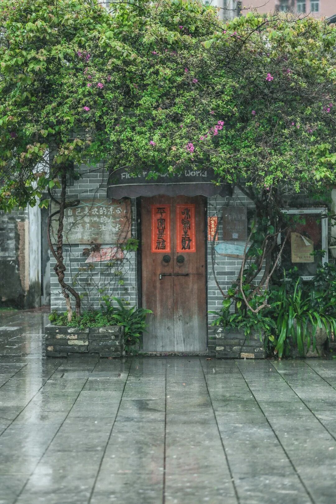 世界顶级帆船赛来了!邀你登船观赛