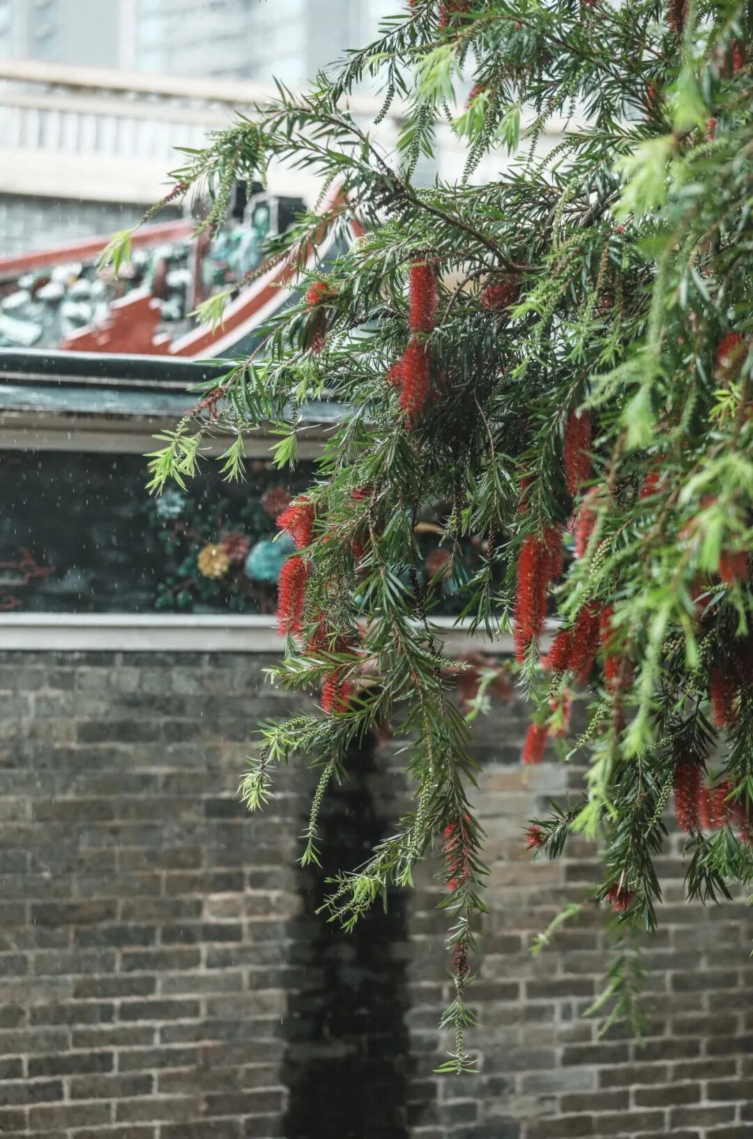 世界顶级帆船赛来了!邀你登船观赛