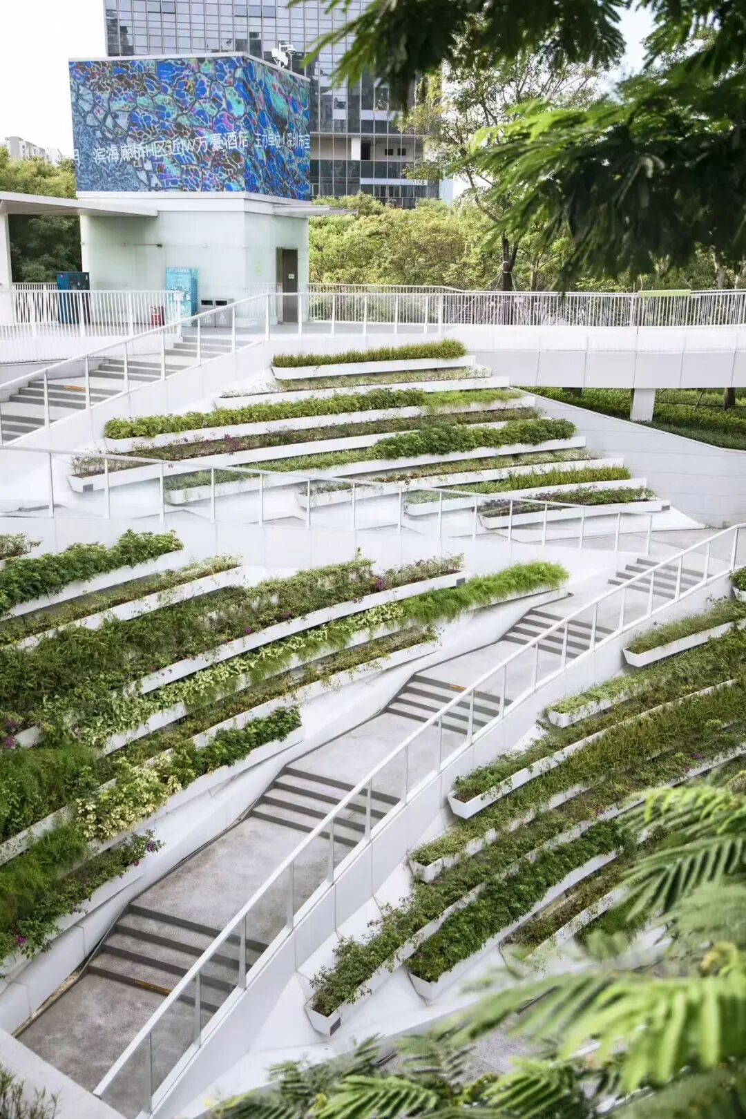 世界顶级帆船赛来了!邀你登船观赛 WechatIMG4012.jpg