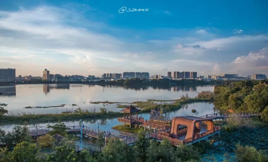 世界顶级帆船赛来了!邀你登船观赛