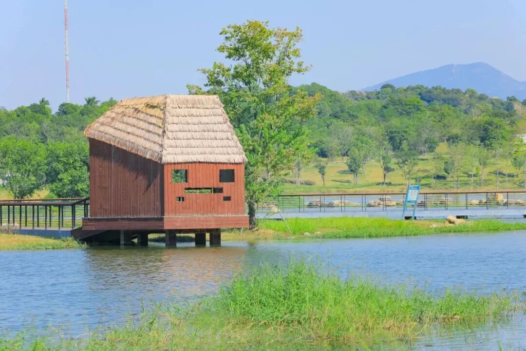 世界顶级帆船赛来了!邀你登船观赛