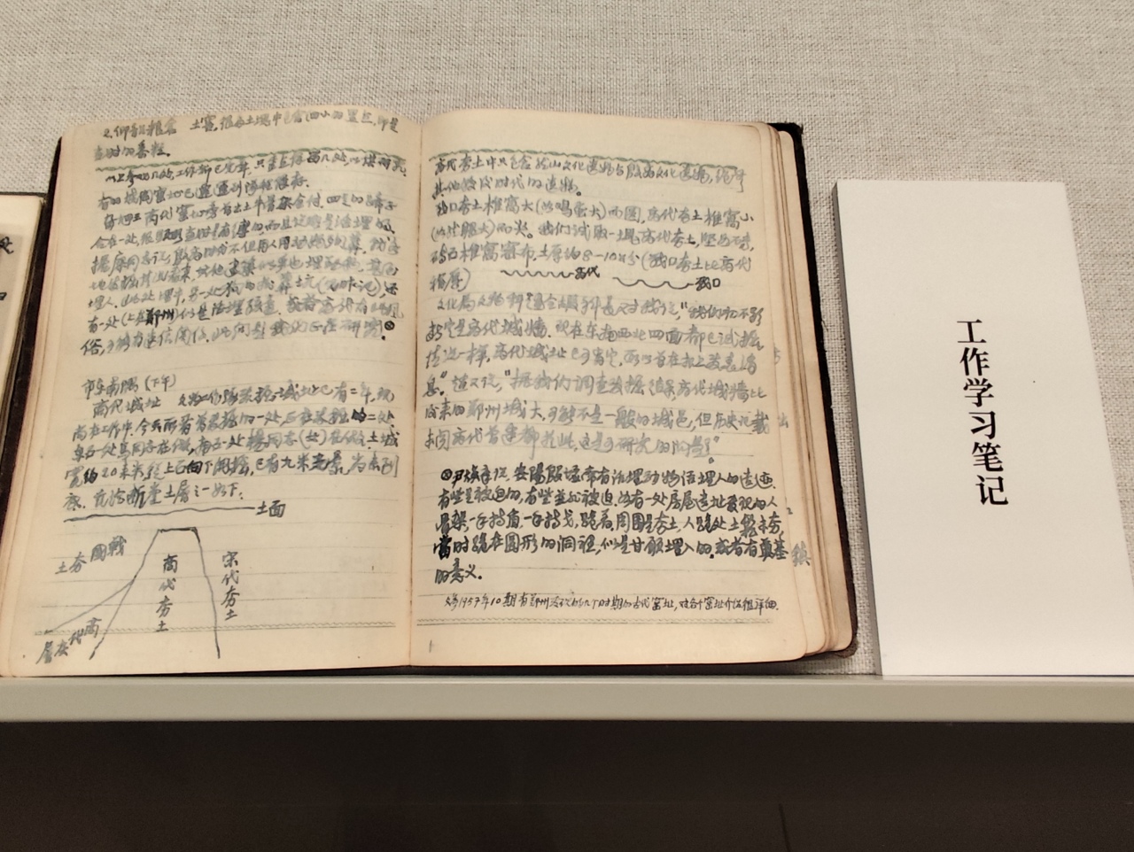 纪念沙孟海先生诞辰125周年展览开展