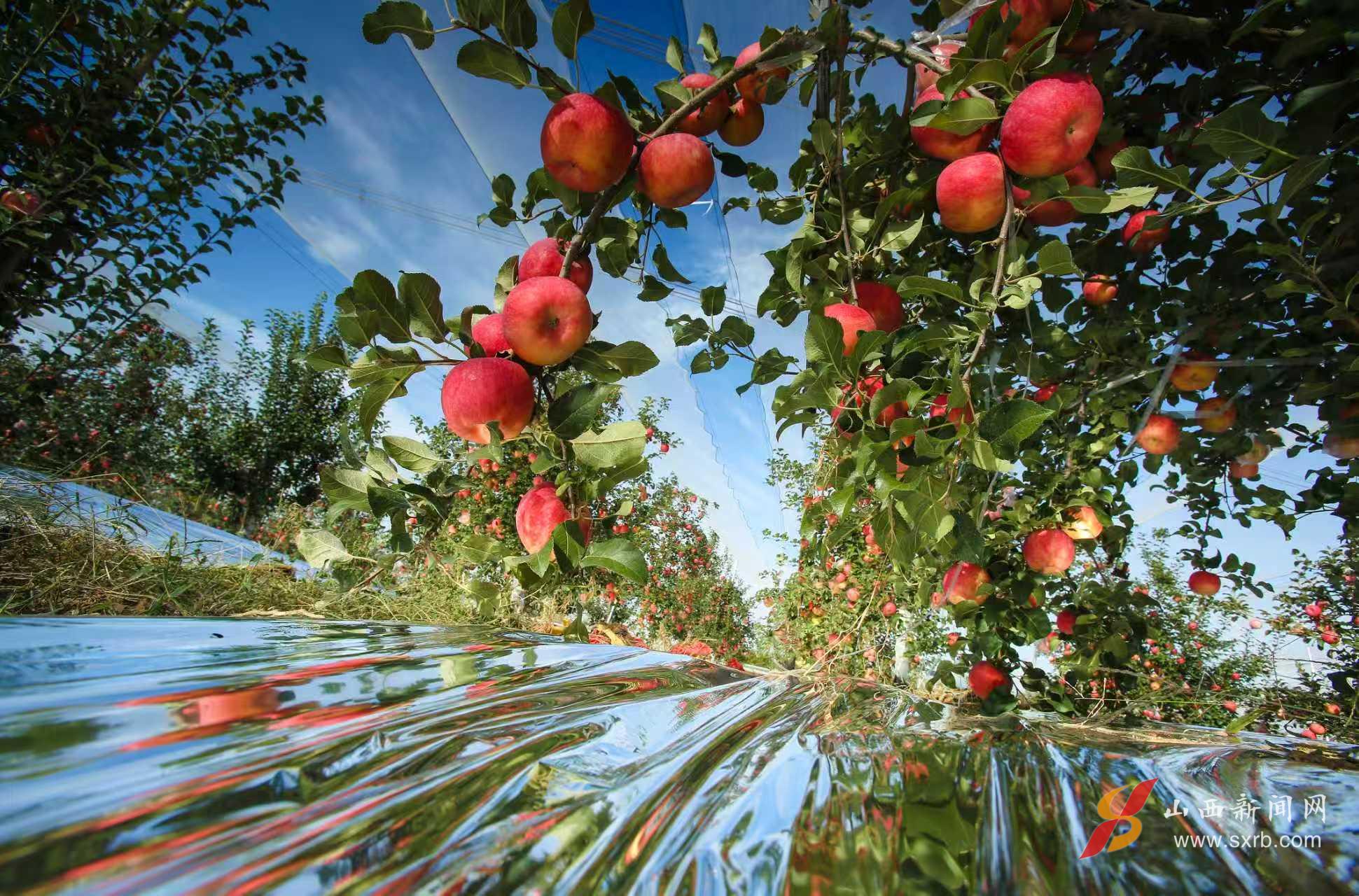 山西大宁擘画“一县四区”高质量发展新蓝图