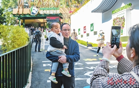 一段开园祝福视频 续写两岸熊猫情缘 一段开园祝福视频续写两岸熊猫情缘