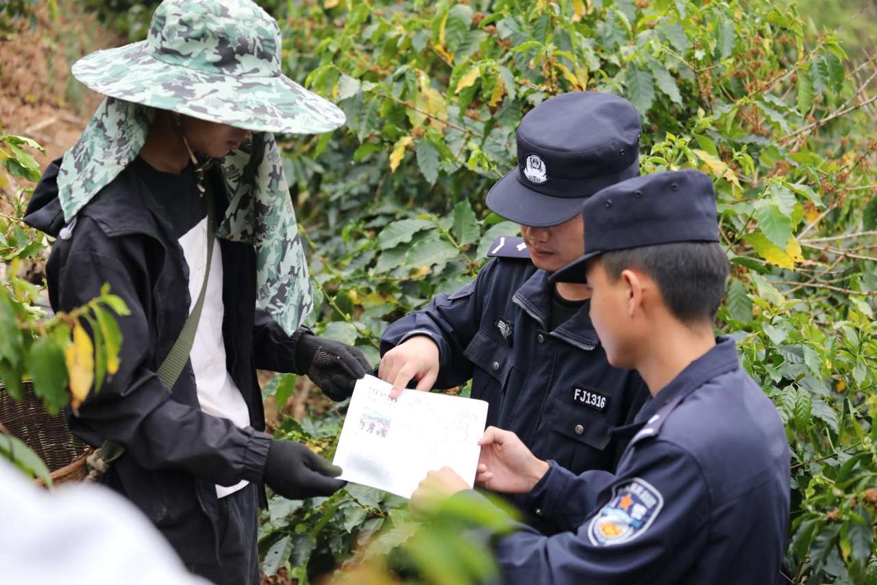 云南普洱：他们在北回归线守护生态屏障