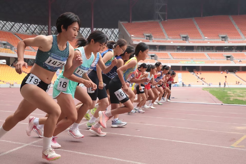 筑陇原振兴之基 绘教育强省新篇——2025年甘肃省教育工作全景回顾