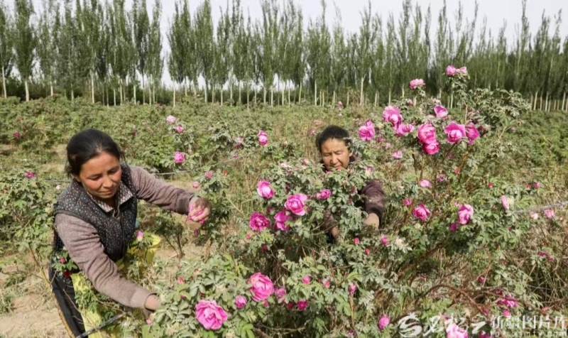 年终特稿·回望2025 丨南疆之变