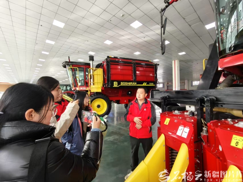 年终特稿·回望2025 丨南疆之变