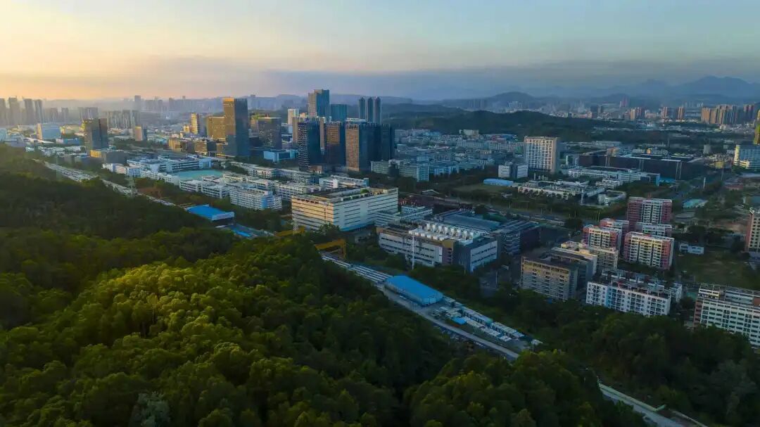 2026年怎么干?龙岗区政府工作报告释放三大信号!
