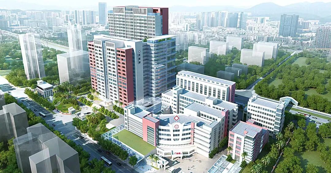 2026年怎么干?龙岗区政府工作报告释放三大信号!