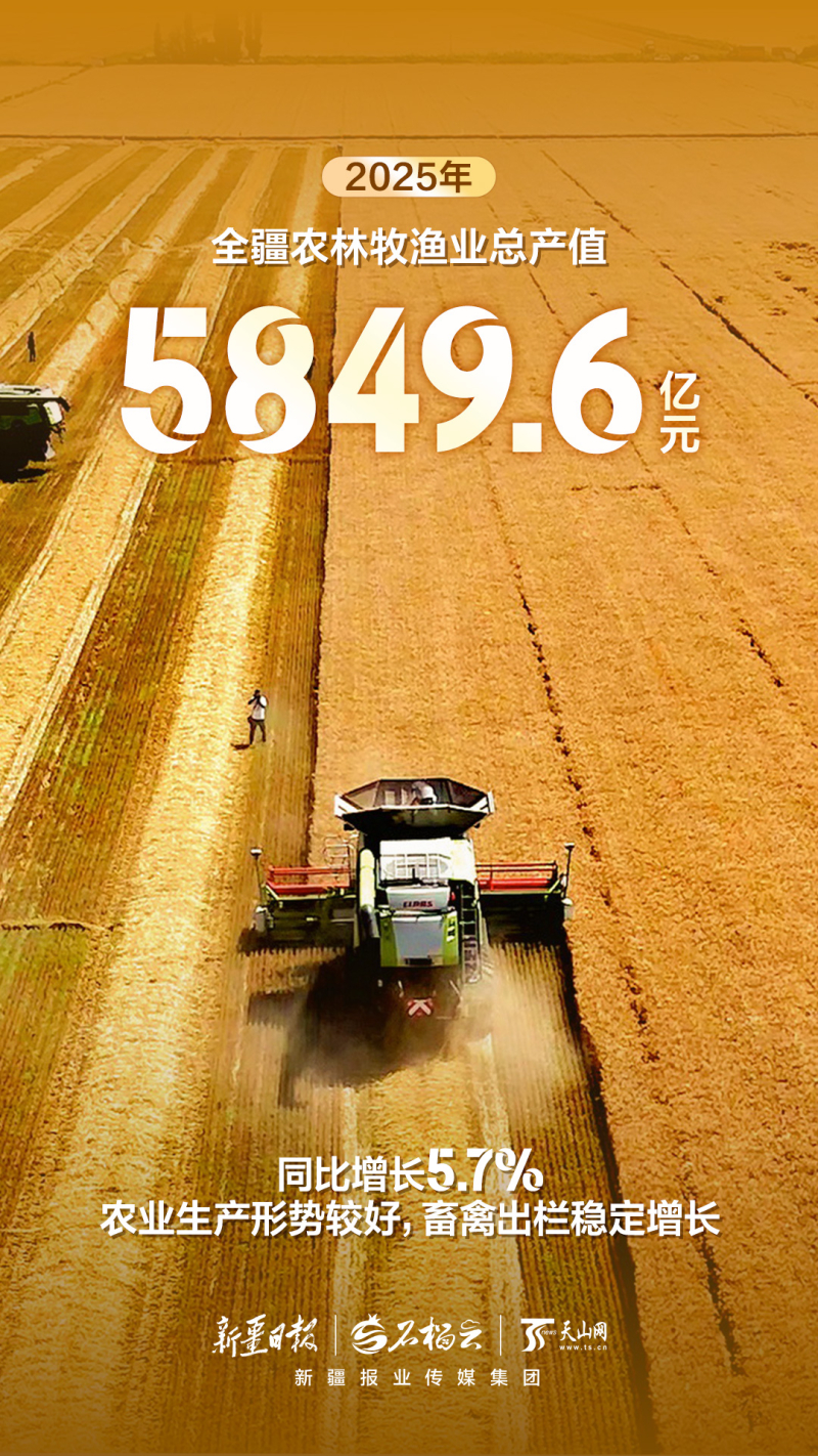 组海报丨2025年新疆经济运行“成绩单”来啦!