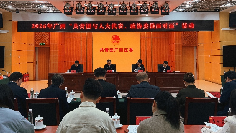 广西举办“共青团与人大代表、政协委员面对面”活动 聚焦流动儿童发展性权益保障