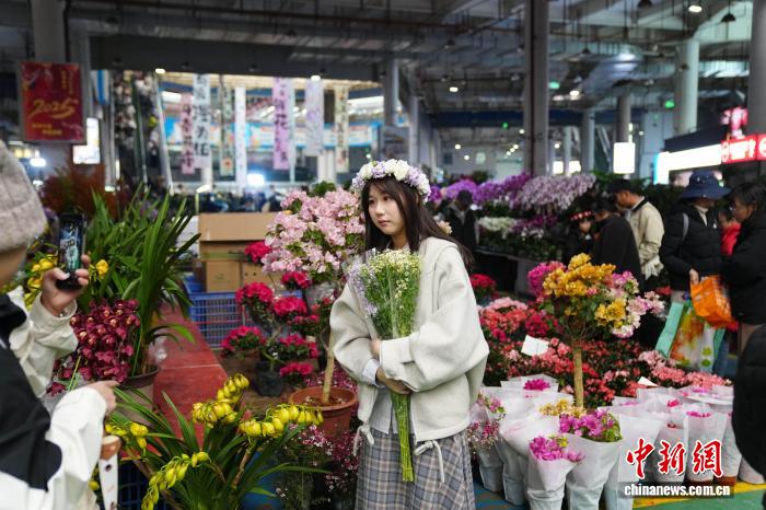 昆明斗南花市周末人气旺 (新春见闻)昆明斗南花市周末人气旺