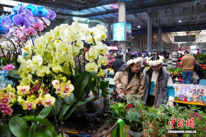 昆明斗南花市周末人气旺