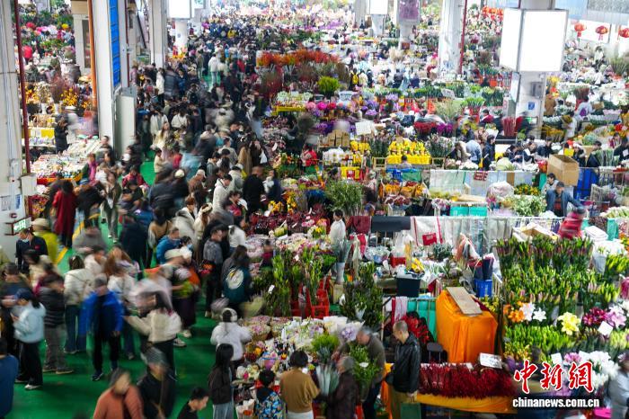 昆明斗南花市周末人气旺