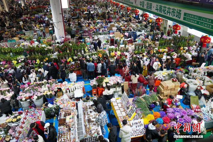 昆明斗南花市周末人气旺