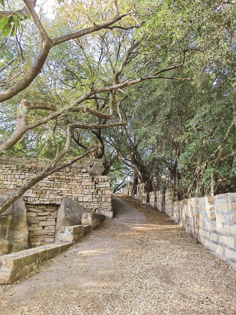 施琅重修厦门城城防遗存获确认 印证了清代对台湾的有效管辖