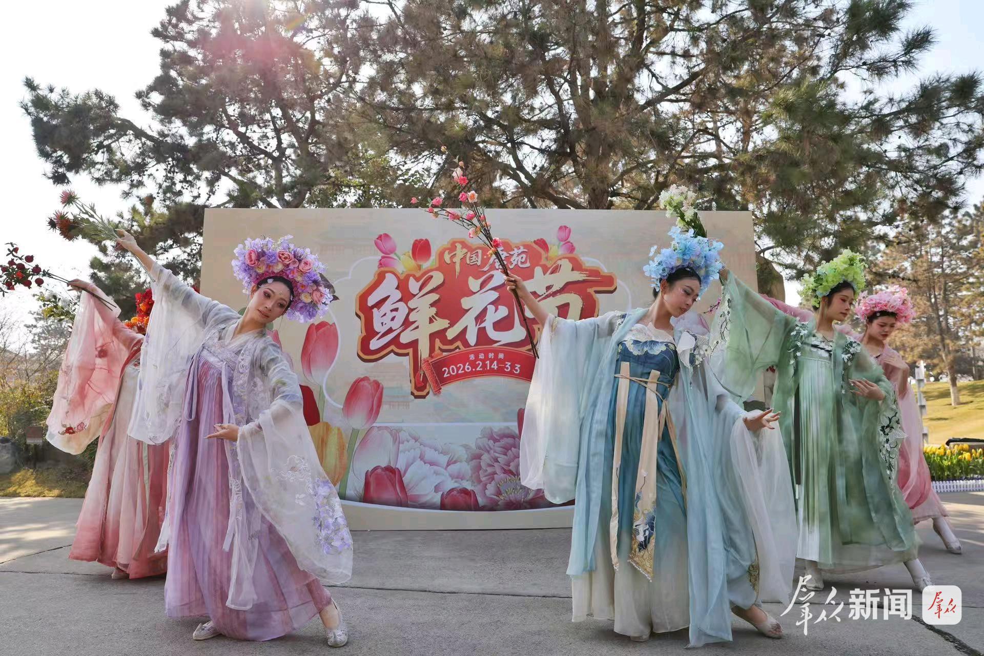 快来！20万株郁金香惊艳绽放中国唐苑