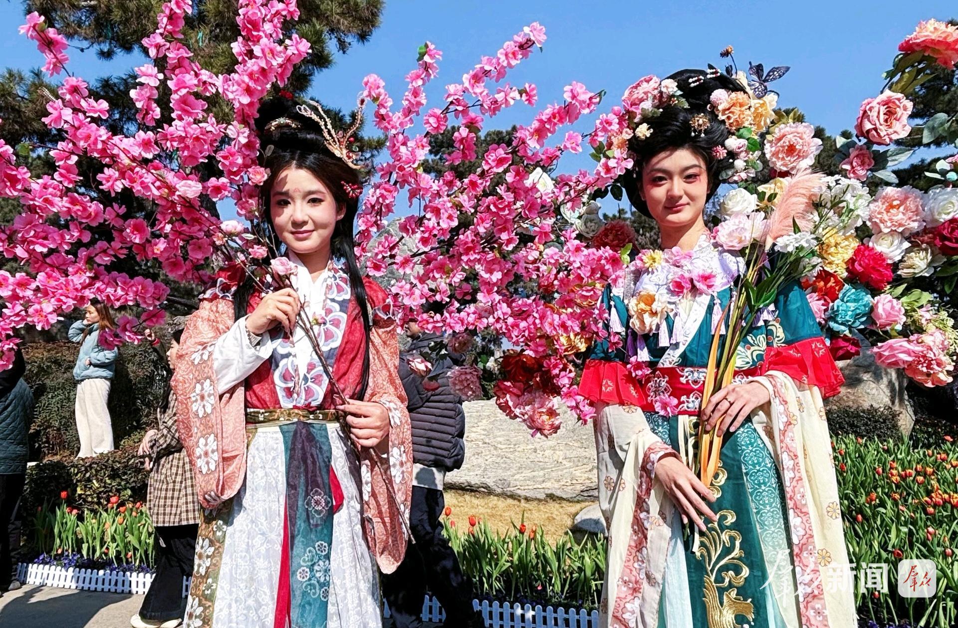 快来！20万株郁金香惊艳绽放中国唐苑