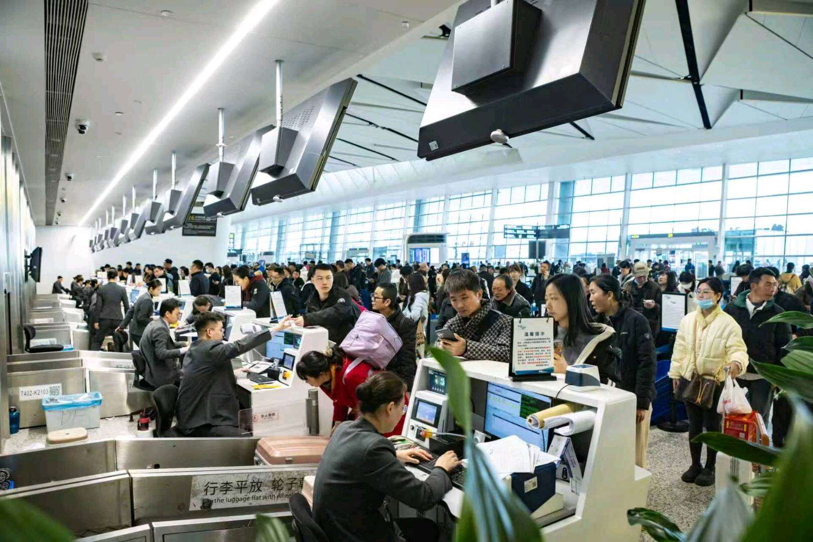 旅客吞吐量达264.5万人次 成都国际航空枢纽春节假期交出亮眼成绩单 旅客吞吐量达264.5万人次 成都国际航空枢纽春节假期交出亮眼成绩单