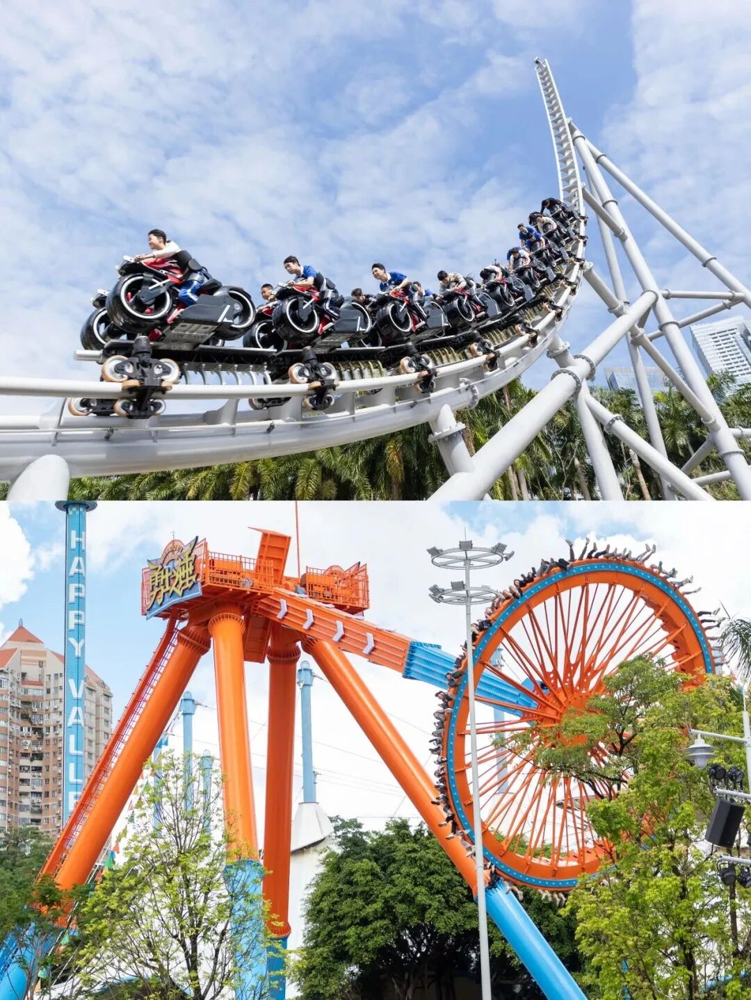 这个春节,深圳的“老网红”成功逆袭