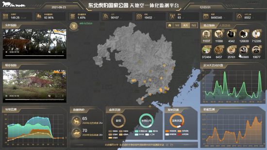 东北虎脚印长啥样?记者带你探秘东北虎豹国家公园