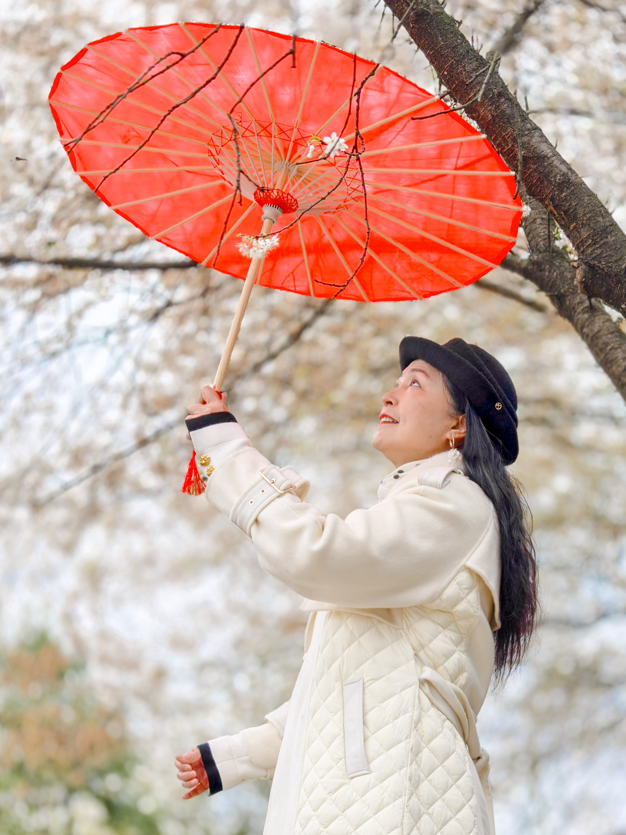 春光加 “碚” 市民共赴赏花之约