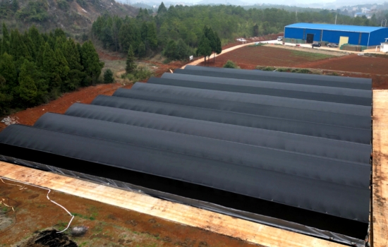 新田县石羊镇石羊居委会羊肚菌种植基地。受访单位供图