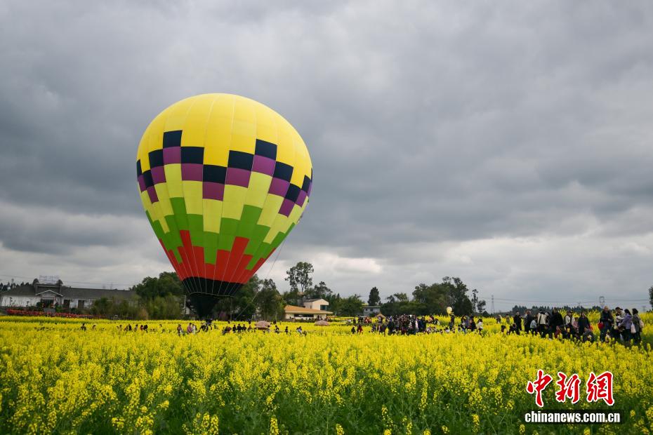 四川仁寿“菜花坞”金黄油菜花醉游人