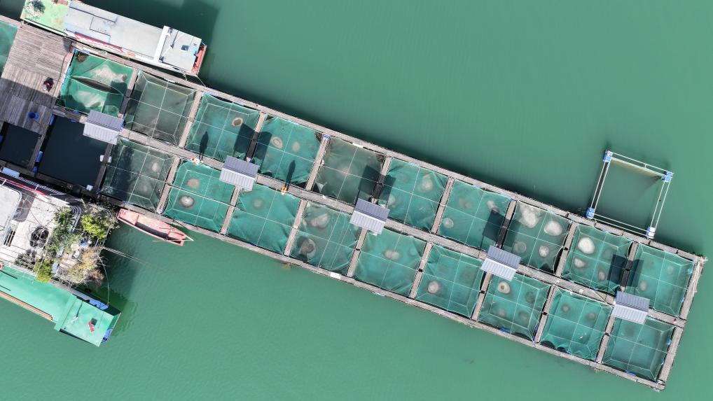 野化驯养基地助力长江水生物种生态修复