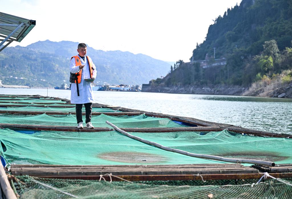 野化驯养基地助力长江水生物种生态修复