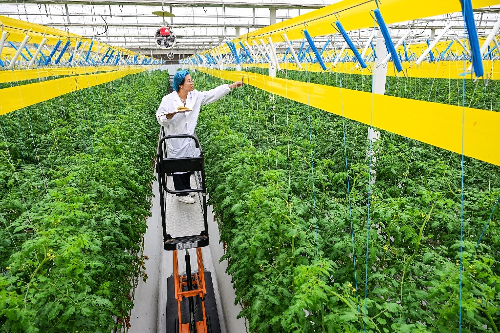 打卡河北雄安智慧农业科技园 打卡河北雄安智慧农业科技园